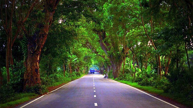 দৃষ্টি কাড়ে যে সড়ক