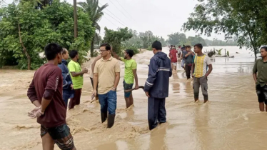 শেরপুরে বন্যা পরিস্থিতির অবনতি, নিহত বেড়ে ৭