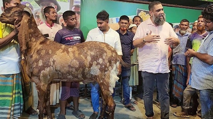 গরু চোরাচালানের রুট নিয়ন্ত্রণ করেন ইমরান